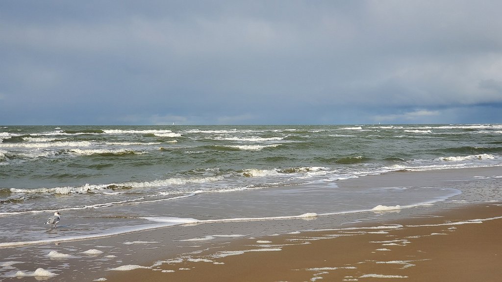 2020_1018_130115.jpg - Egmond aan Zee - Bergen aan Zee